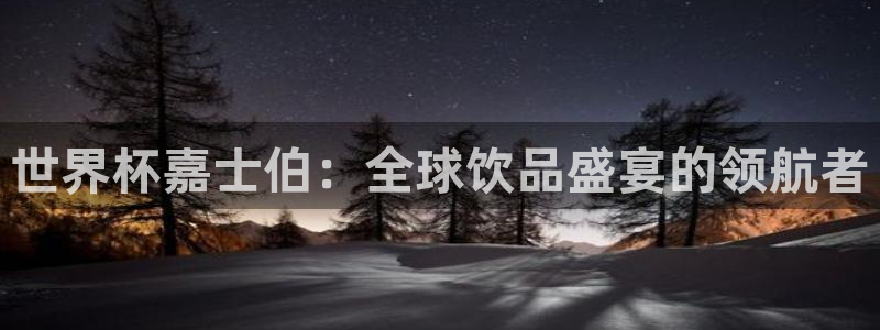 世界杯预选赛赛程：世界杯嘉士伯：全球饮品盛宴的领航者