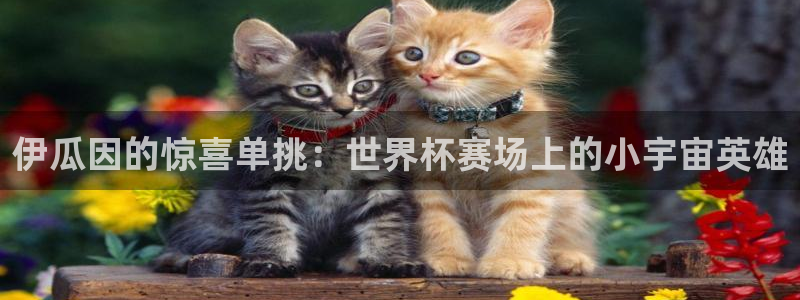2026年世界杯时间表：伊瓜因的惊喜单挑：世界杯赛场上的小宇宙英雄