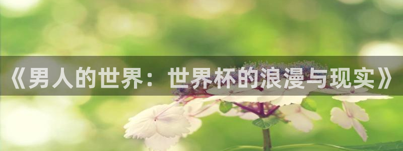 世界杯比赛：《男人的世界：世界杯的浪漫与现实》