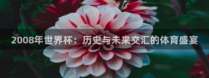 世界杯预赛赛程：2008年世界杯：历史与未来交汇的体育盛宴