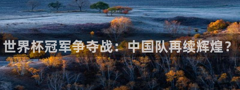 2026世界杯南美区积分榜：世界杯冠军争夺战：中国队再续辉煌？