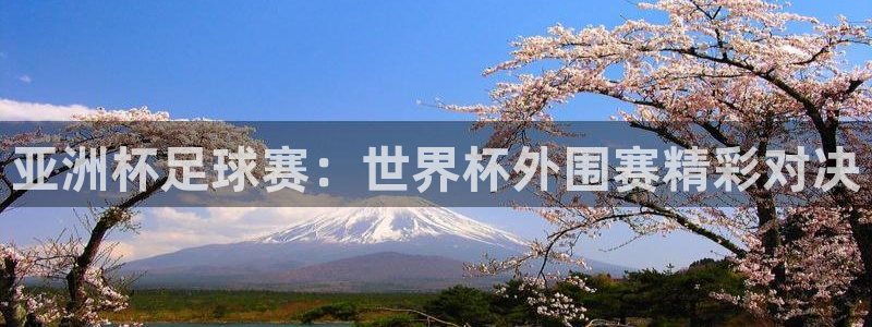 世界杯直播免费观看：亚洲杯足球赛：世界杯外围赛精彩对决