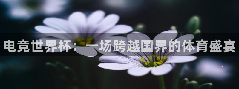 世预赛欧洲赛程表：电竞世界杯：一场跨越国界的体育盛宴