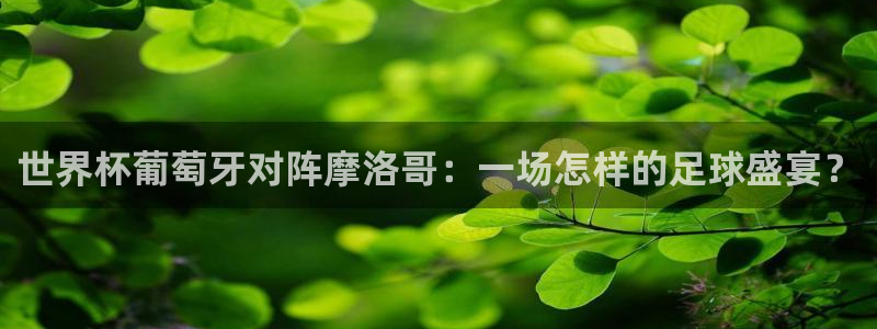 亚洲杯足球：世界杯葡萄牙对阵摩洛哥：一场怎样的足球盛宴？