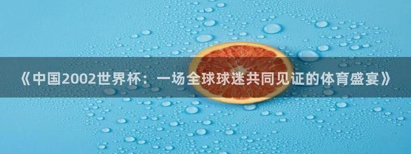 2006年世界杯冠军：《中国2002世界杯：一场全球球迷共同见证的体育盛宴》