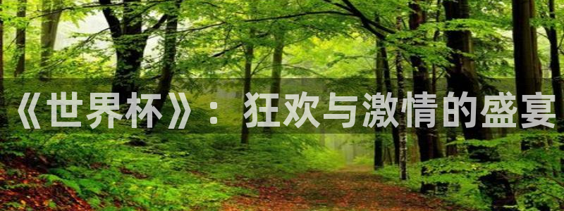 预选赛世界杯：《世界杯》：狂欢与激情的盛宴