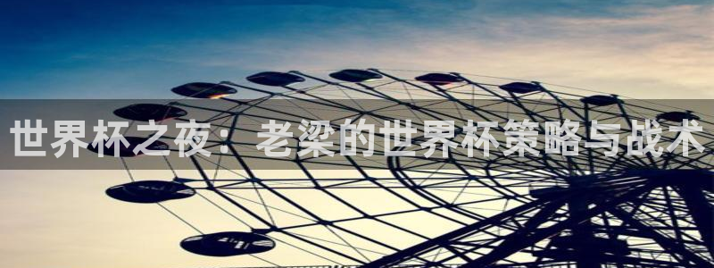 世界杯直播免费观看：世界杯之夜：老梁的世界杯策略与战术