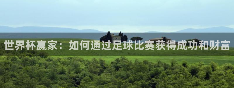 足球世预赛：世界杯赢家：如何通过足球比赛获得成功和财富